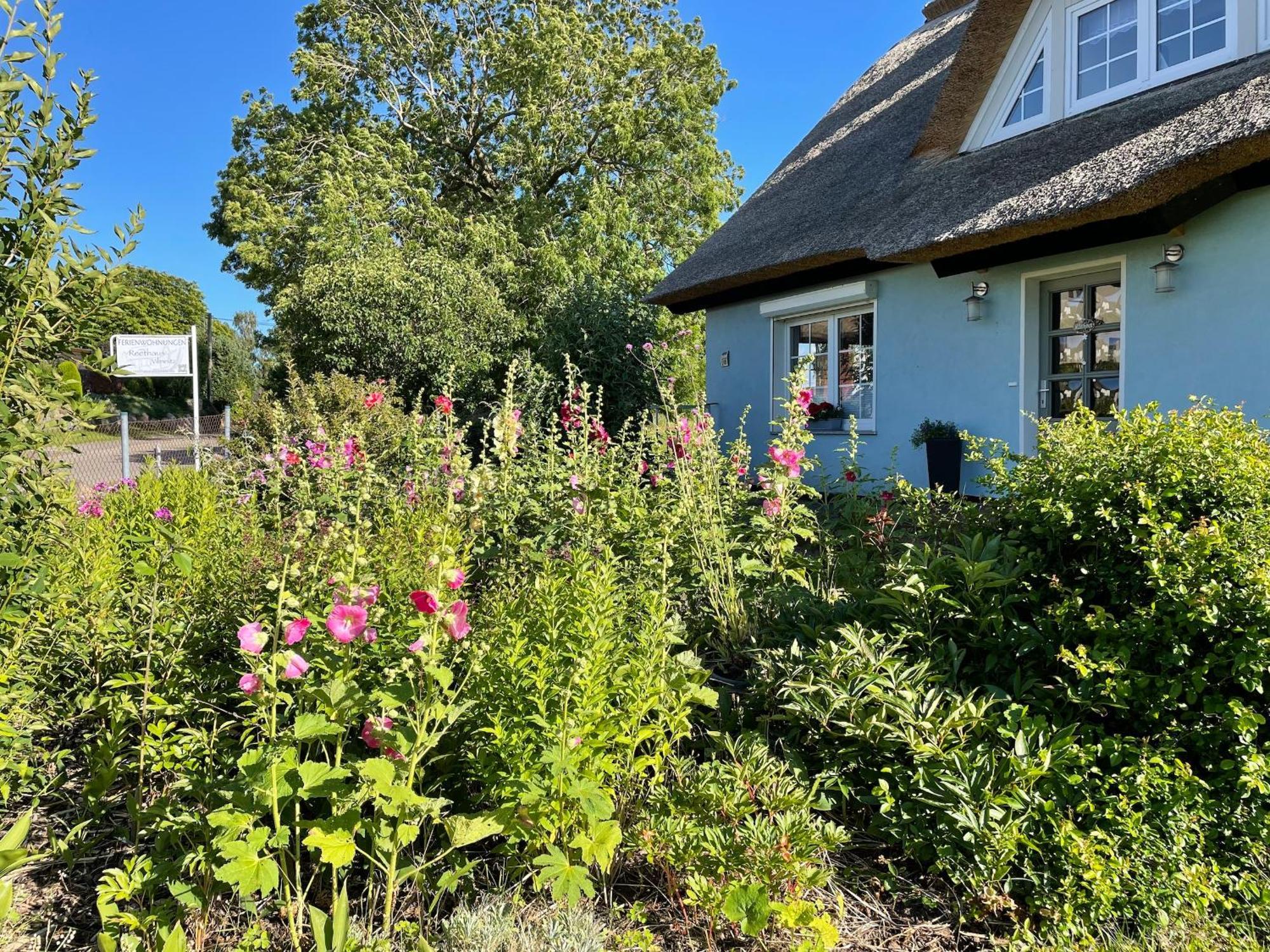 Reethaus Vilmnitz - Ferienwohnung Goor Buitenkant foto